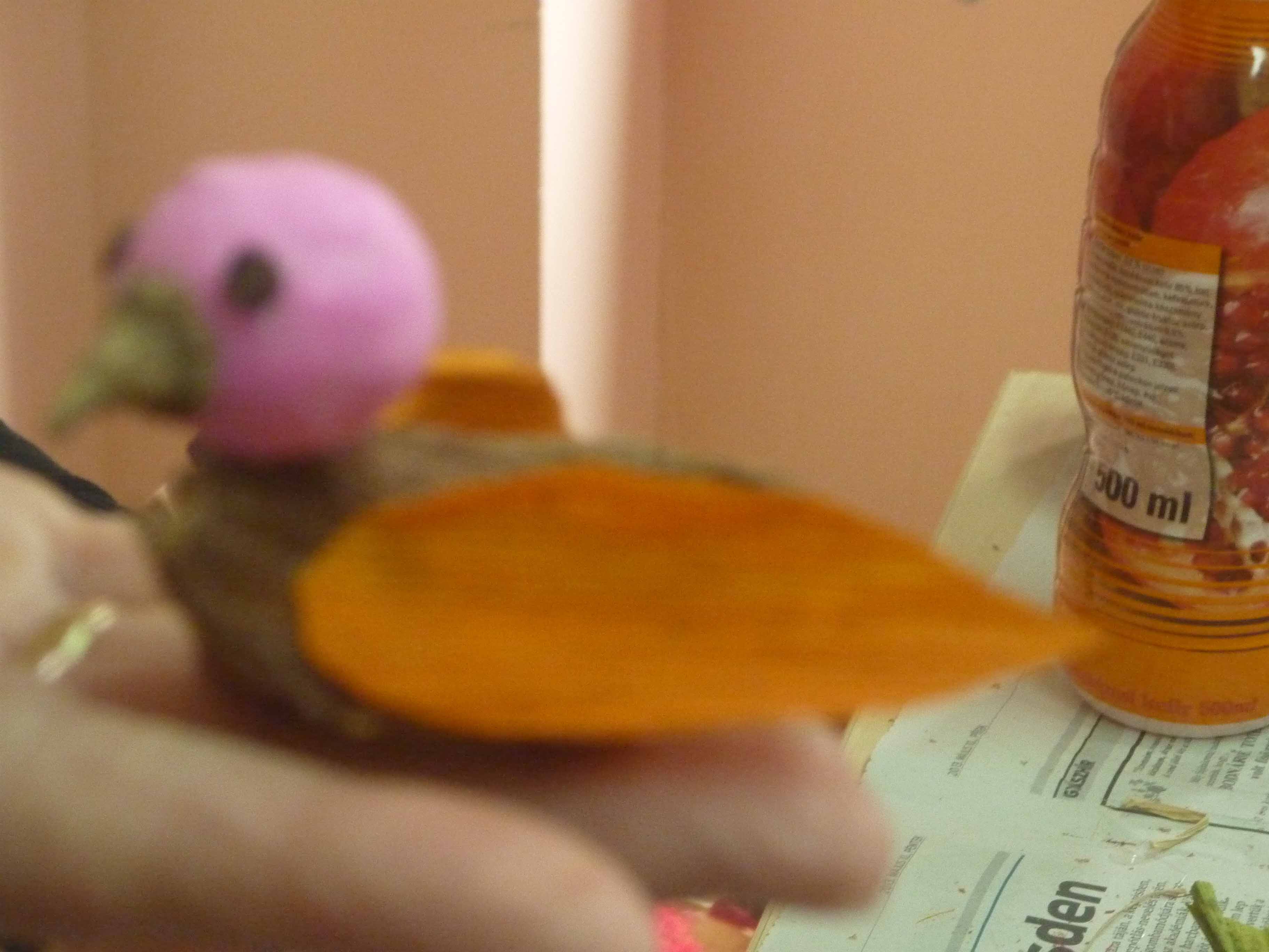 Kézműves_foglalkozás